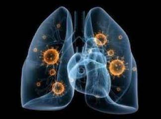 Akciğer İltihabı İçin Bitkisel Reçeteler