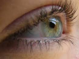 Göz Hastalıkları İçin Bitkisel Reçeteler