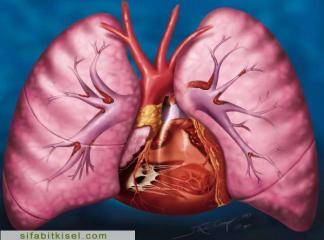Akciğer Barotravmaları Tedavisi