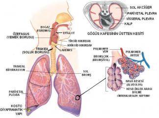 Akciğer Barotravması Tedavi