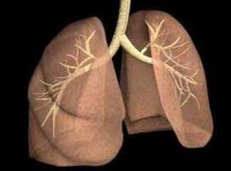 Akciğer Hipertansiyonu Nedir