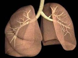Akciğer Yenilenmesi