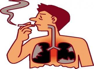 Akciğeri Sigaradan Temizleyen Bitkiler