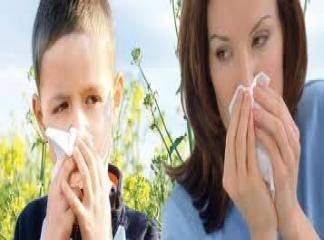 alerjik hastalıklar için hangi bölüme gidilir