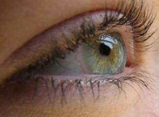 Göz Hastalıkları Bitkisel Tedavi