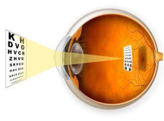 Gözün Görme Sistemi