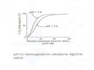 Hemoglobin-Oksijen Disosiasyon Eğrisi