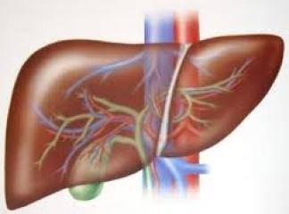 karaciğer hastalıkları belirtileri nelerdir nasıl tedavi edilir