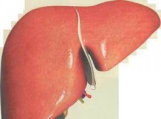 Karaciğer Kistleri Tedavisi