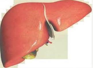 Karaciğer Yenilenmesi