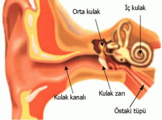 Kulak Labirent İltihabı Sebepleri