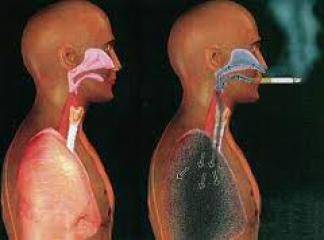 Sigaranın Akciğerlere Zararları